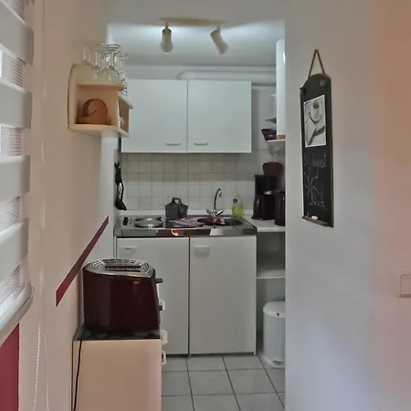 Apartment Gorgeous In With Kitchen